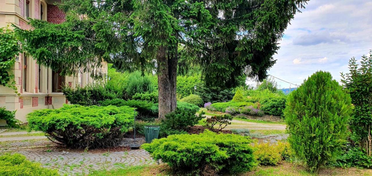 Villa Kliche Przerzeczyn-Zdroj 외부 사진